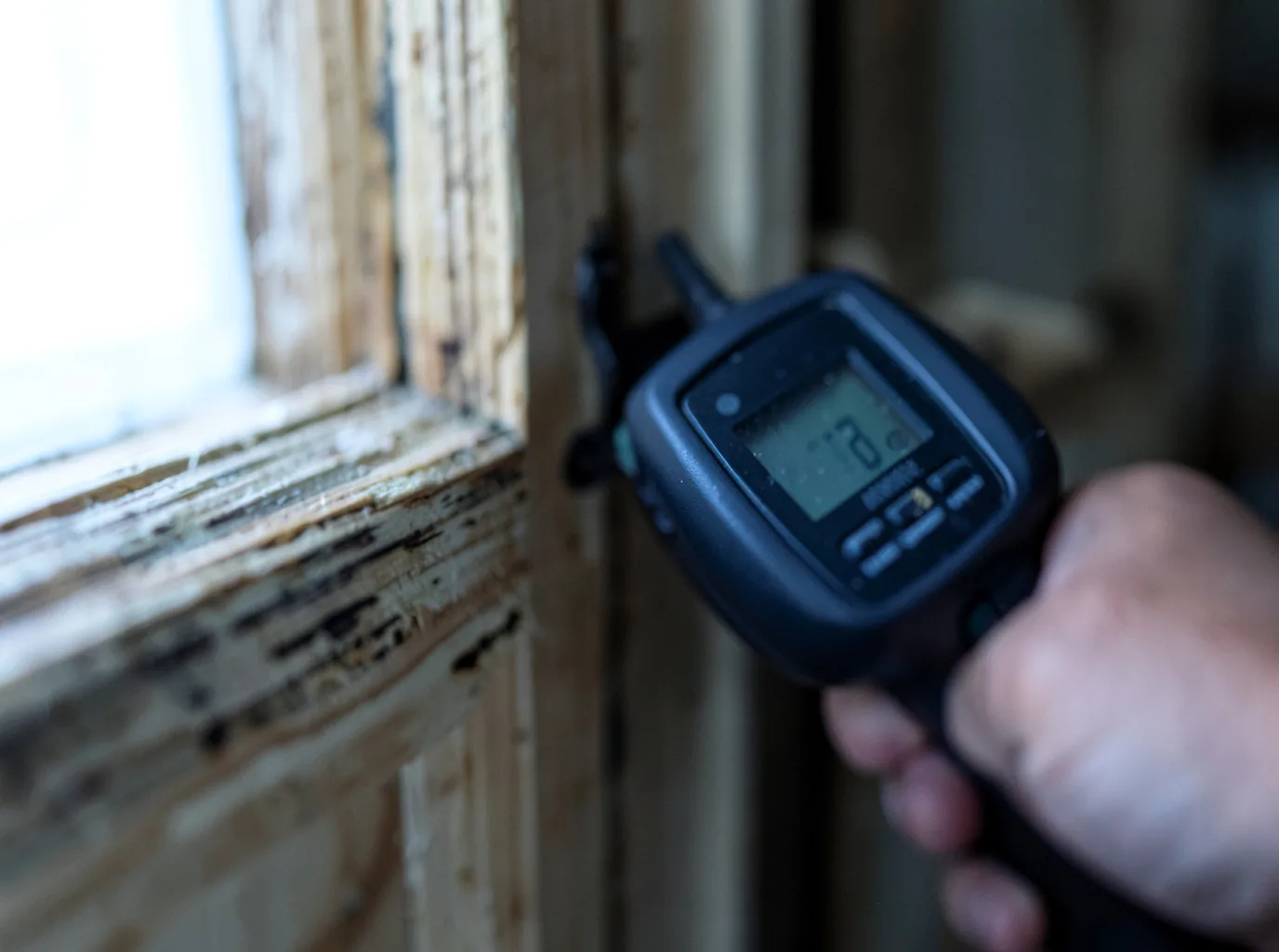 Moisture Inspection And Documentation in Maypearl, TX